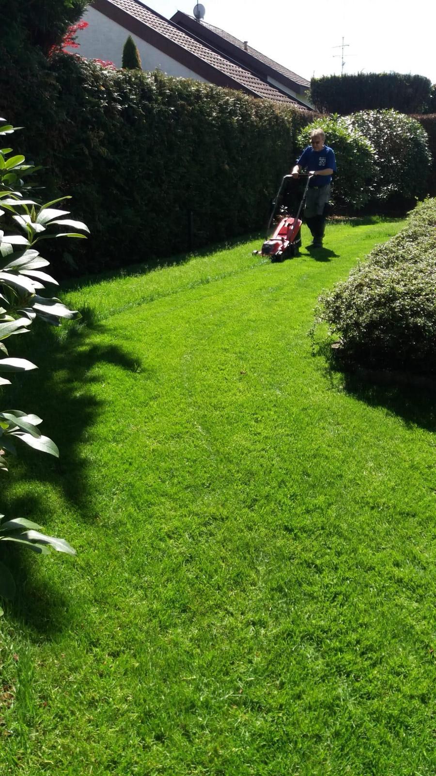 Gartenarbeit und Heckenpflege
